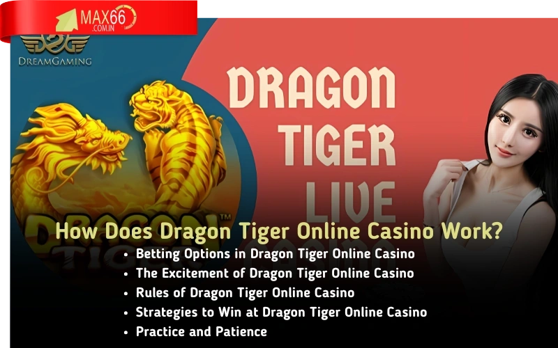 Experience the best premium casino slot games at max66.in!