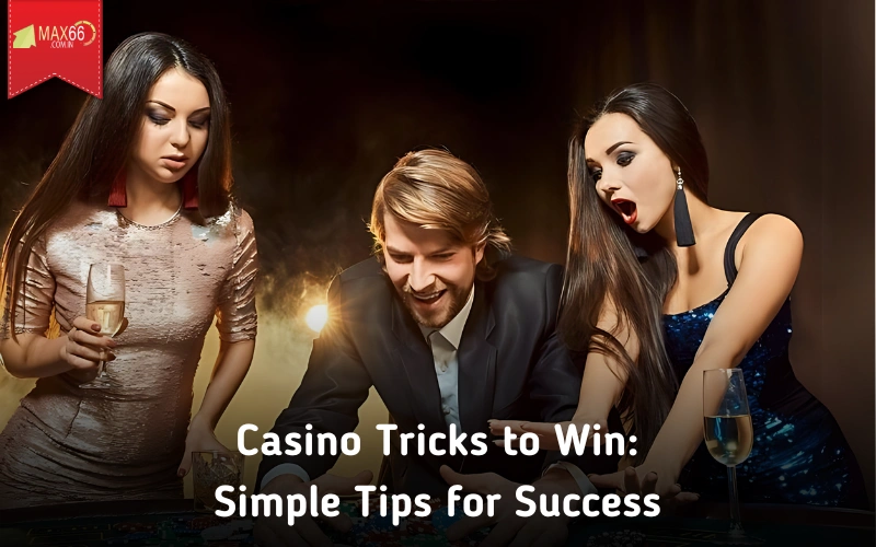 Experience the best premium lottery and sports betting platform at max66.in!