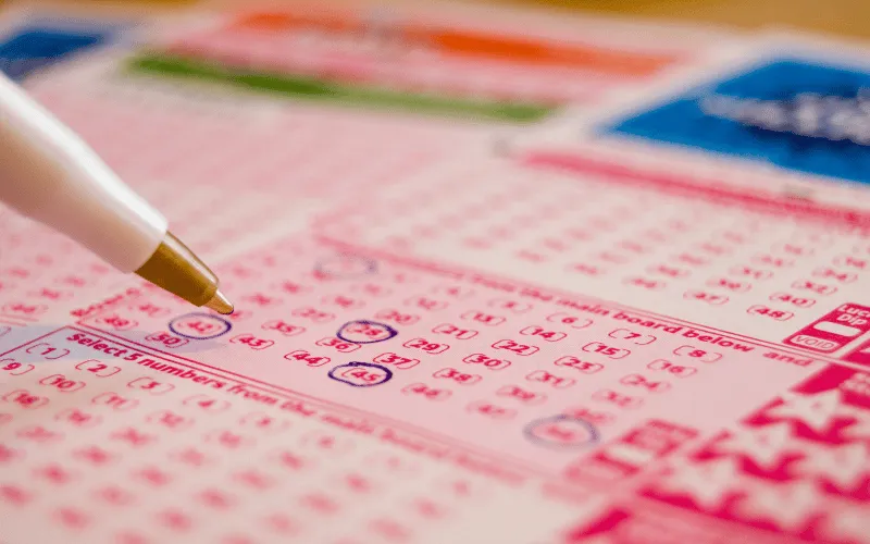 How to Check North India Lottery Results